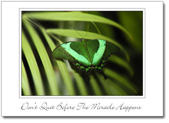 Greeting Cards by Recovery Greetings